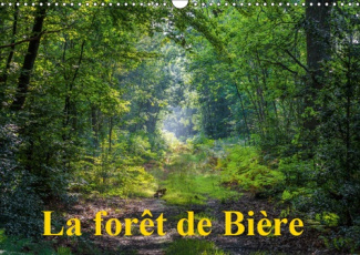 LA FORET DE BIERE (CALENDRIER MURAL 2019 DIN A3 HORIZONTAL) - PAYSAGES DE LA FORET DE FONTAINEBLEAU