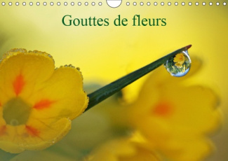 GOUTTES DE FLEURS (CALENDRIER MURAL 2019 DIN A4 HORIZONTAL) - PHOTOS MACRO DE GOUTTES DE FLEURS (CAL
