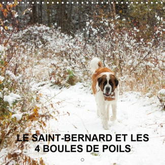 LE SAINT-BERNARD ET LES 4 BOULES DE POILS (CALENDRIER MURAL 2019 300 * 300 MM SQUARE) - GARDIENNAGE