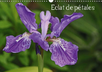 ECLAT DE PETALES (CALENDRIER MURAL 2019 DIN A3 HORIZONTAL) - LES FLEURS EMBELLISSENT NOS JOURNEES (C