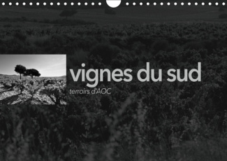 VIGNES DU SUD TERROIRS D'AOC (CALENDRIER MURAL 2019 DIN A4 HORIZONTAL) - PAYSAGES DES TERROIRS VITIC