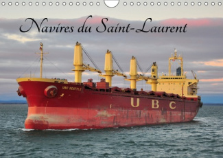 NAVIRES DU SAINT-LAURENT (CALENDRIER MURAL 2019 DIN A4 HORIZONTAL) - LA VOIE MARITIME DU SAINT-LAURE