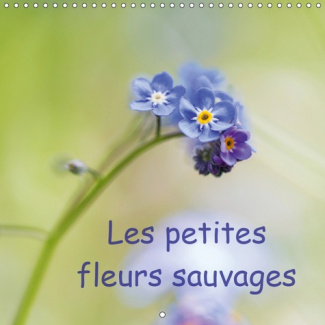 LES PETITES FLEURS SAUVAGES (CALENDRIER MURAL 2019 300 * 300 MM SQUARE) - LA BEAUTE DES FLEURS SAUVA