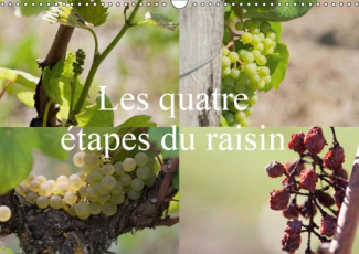 LES QUATRE ETAPES DU RAISIN (CALENDRIER MURAL 2019 DIN A3 HORIZONTAL) - LE RAISIN, LE NECTAR DES DIE