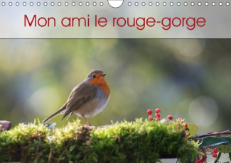 MON AMI LE ROUGE-GORGE (CALENDRIER MURAL 2019 DIN A4 HORIZONTAL) - UNE ANNEE DE LA VIE DU ROUGE-GORG