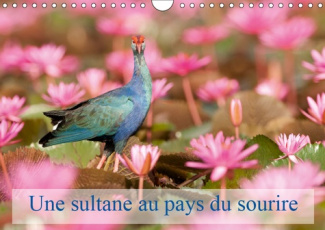 UNE SULTANE AU PAYS DU SOURIRE (CALENDRIER MURAL 2019 DIN A4 HORIZONTAL) - LA TALEVE SULTANE EST UN