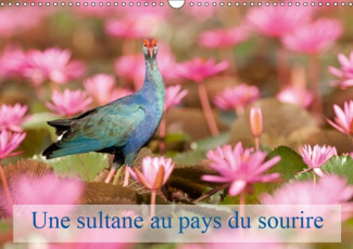 UNE SULTANE AU PAYS DU SOURIRE (CALENDRIER MURAL 2019 DIN A3 HORIZONTAL) - LA TALEVE SULTANE EST UN
