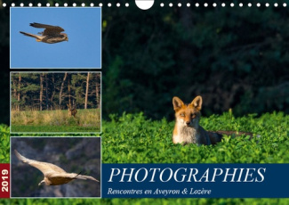 PHOTOGRAPHIES RENCONTRES EN AVEYRON & LOZERE (CALENDRIER MURAL 2019 DIN A4 HORIZONTAL) - PHOTOS ANIM
