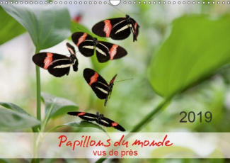 PAPILLONS DU MONDE, VUS DE PRES (CALENDRIER MURAL 2019 DIN A3 HORIZONTAL) - PORTRAITS DE DOUZE PAPIL