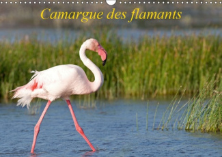 CAMARGUE DES FLAMANTS (CALENDRIER MURAL 2019 DIN A3 HORIZONTAL) - LA CAMARGUE, SES FLAMANTS ET SES C