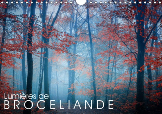 LUMIERES DE BROCELIANDE (CALENDRIER MURAL 2019 DIN A4 HORIZONTAL) - IMAGES DE LA FORET DE BROCELIAND