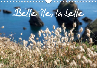 BELLE-ILE, LA BELLE (CALENDRIER MURAL 2019 DIN A4 HORIZONTAL) - BELLE-ILE-EN-MER, UNE ILE NATURE, NA