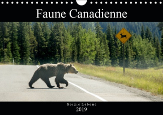 FAUNE CANADIENNE (CALENDRIER MURAL 2019 DIN A4 HORIZONTAL) - A LA RENCONTRE DE LA FAUNE OUEST-CANADI
