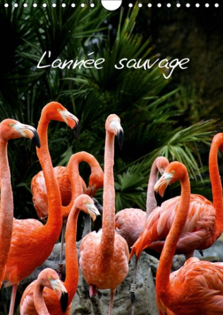 L'ANNEE SAUVAGE (CALENDRIER MURAL 2019 DIN A4 VERTICAL) - QUAND LA FAUNE SAUVAGE S'INVITE CHEZ VOUS.