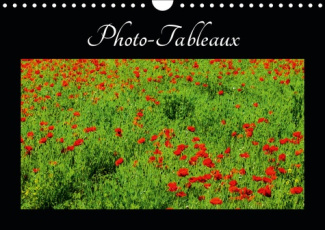 PHOTO-TABLEAUX (CALENDRIER MURAL 2019 DIN A4 HORIZONTAL) - PHOTOS OU TABLEAUX? (CALENDRIER MENSUEL,