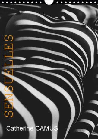 SENSUELLES (CALENDRIER MURAL 2019 DIN A4 VERTICAL) - NUS FEMININS DONT LA MOITIE AVEC JEUX D'OMBRES