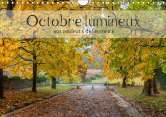 OCTOBRE LUMINEUX (CALENDRIER MURAL 2019 DIN A4 HORIZONTAL) - AU FIL DES PAGES AUX COULEURS DE L'AUTO
