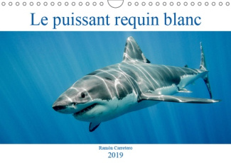 LE PUISSANT REQUIN BLANC (CALENDRIER MURAL 2019 DIN A4 HORIZONTAL) - LE PUISSANT REQUIN BLANC (CALEN