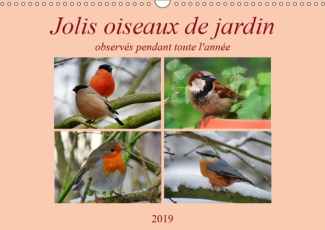 JOLIS OISEAUX DE JARDIN (CALENDRIER MURAL 2019 DIN A3 HORIZONTAL) - OBSERVES PENDANT TOUTE L'ANNEE..