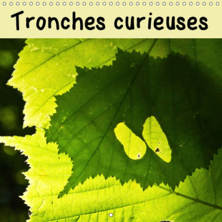 TRONCHES CURIEUSES (CALENDRIER MURAL 2019 300 * 300 MM SQUARE) - OBJETS INANIMES, AVEZ-VOUS DONC UNE