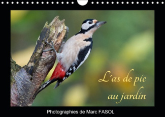 L'AS DE PIC AU JARDIN (CALENDRIER MURAL 2019 DIN A4 HORIZONTAL) - QUELQUES ESPECES D'OISEAUX POUVANT