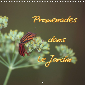 PROMENADES DANS LE JARDIN (CALENDRIER MURAL 2019 300 * 300 MM SQUARE) - COLLECTION DE FLEURS TYPIQUE