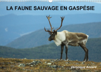 LA FAUNE SAUVAGE EN GASPESIE (CALENDRIER MURAL 2020 DIN A3 HORIZONTAL) - BIENVENUE DANS LE MONDE DES