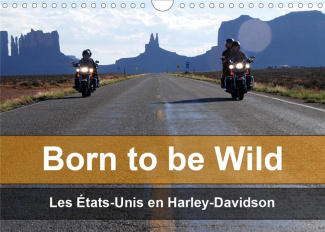 BORN TO BE WILD - LES ETATS-UNIS EN HARLEY-DAVIDSON (CALENDRIER MURAL 2020 DIN A4 HORIZONTAL) - LES