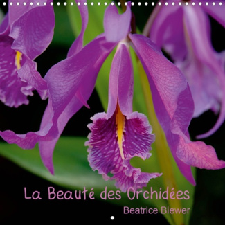 LA BEAUTE DES ORCHIDEES (CALENDRIER MURAL 2020 300 * 300 MM SQUARE) - DES FLEURS FASCINANTES AU FORM