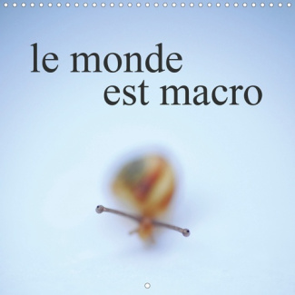 le monde est macro (Calendrier mural 2020 300 × 300 mm Square). photos fascinantes dans une collecti