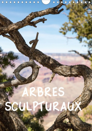 ARBRES SCULPTURAUX (Calendrier mural 2020 DIN A4 vertical). L'arbre, comme sculpture, dans des paysa