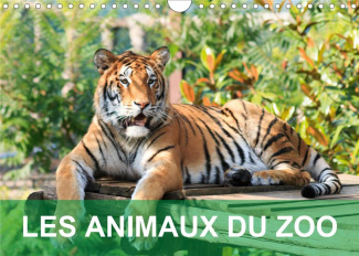 LES ANIMAUX DU ZOO (CALENDRIER MURAL 2020 DIN A4 HORIZONTAL) - CALENDRIER AVEC DES PHOTOS TENDRES ET