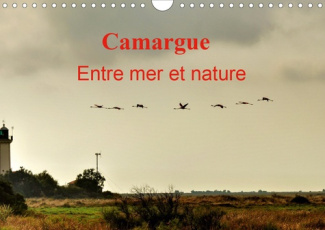 Camargue Entre mer et nature (Calendrier mural 2020 DIN A4 horizontal). Au cœur de la Camargue, entr