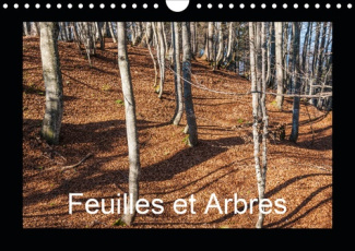 FEUILLES ET ARBRES (CALENDRIER MURAL 2020 DIN A4 HORIZONTAL) - CAPTIVE PAR LES SAISONS (CALENDRIER M