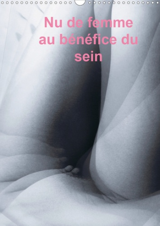 NU DE FEMME AU BENEFICE DU SEIN (CALENDRIER MURAL 2020 DIN A3 VERTICAL) - PHOTOS DE NU FEMININ, TOUT