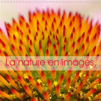 La nature en images (Calendrier mural 2020 300 × 300 mm Square). La nature au fil des saisons, en ph