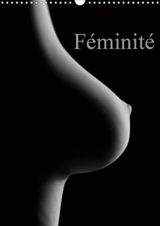 Féminité (Calendrier mural 2020 DIN A3 vertical). Prises érotiques du corps féminin. (Calendrier men
