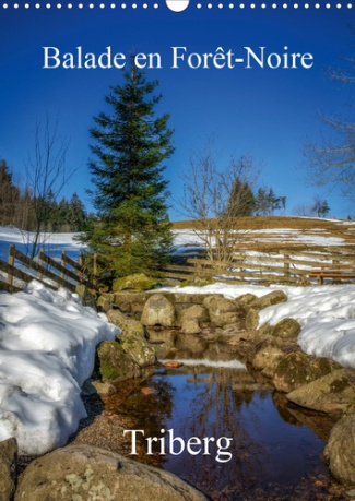 BALADE EN FORET-NOIRE TRIBERG (CALENDRIER MURAL 2020 DIN A3 VERTICAL) - DECOUVERTE DE LA FORET-NOIRE