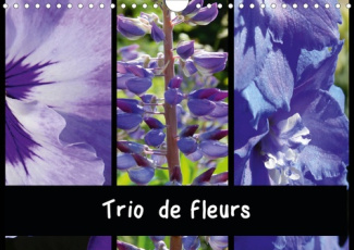 TRIO DE FLEURS (CALENDRIER MURAL 2020 DIN A4 HORIZONTAL) - LA VARIETE DES FLEURS DE COULEUR RESSEMBL