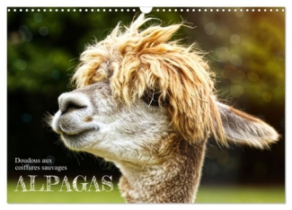 Alpagas, doudous aux coiffures sauvages (Calendrier mural 2025 DIN A3 vertical), CALVENDO calendrier