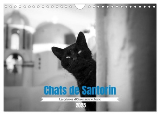 Chats de Santorin - Les princes d'Oia en noir et blanc (Calendrier mural 2025 DIN A4 vertical), CALV