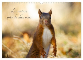 La nature près de chez vous (Calendrier mural 2025 DIN A3 vertical), CALVENDO calendrier mensuel. Le
