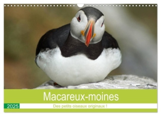 Macareux-moines Des petits oiseaux originaux! (Calendrier mural 2025 DIN A3 vertical), CALVENDO cale