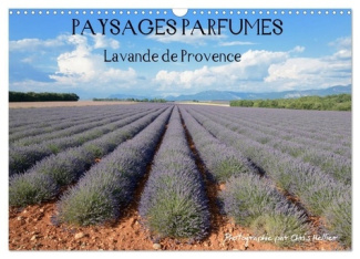 Paysages parfumés - Lavende de Provence (Calendrier mural 2025 DIN A3 vertical), CALVENDO calendrier
