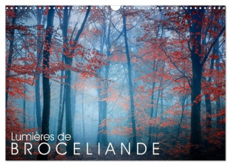 Lumières de Brocéliande (Calendrier mural 2025 DIN A3 vertical), CALVENDO calendrier mensuel. Images