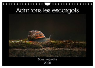 Admirons les escargots (Calendrier mural 2025 DIN A4 vertical), CALVENDO calendrier mensuel. Dans no