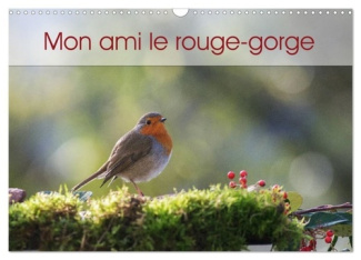 Mon ami le rouge-gorge (Calendrier mural 2025 DIN A3 vertical), CALVENDO calendrier mensuel. Une ann