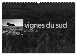VIGNES DU SUD terroirs d'AOC (Calendrier mural 2025 DIN A3 vertical), CALVENDO calendrier mensuel. P