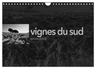 VIGNES DU SUD terroirs d'AOC (Calendrier mural 2025 DIN A4 vertical), CALVENDO calendrier mensuel. P