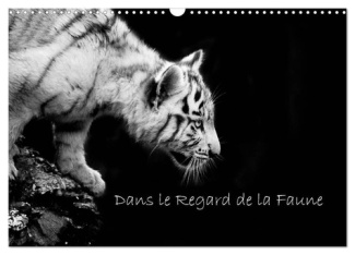 Dans le Regard de la Faune (Calendrier mural 2025 DIN A3 vertical), CALVENDO calendrier mensuel. Déc